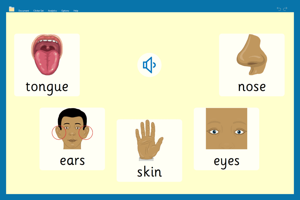 Senses - Listen and Match - Matching Set KS1 subject learning 3